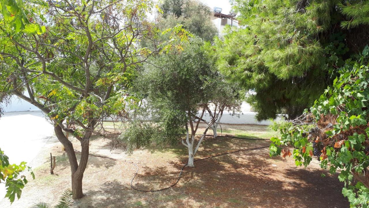 Chrisanthi Studios Agios Prokopios  Luaran gambar